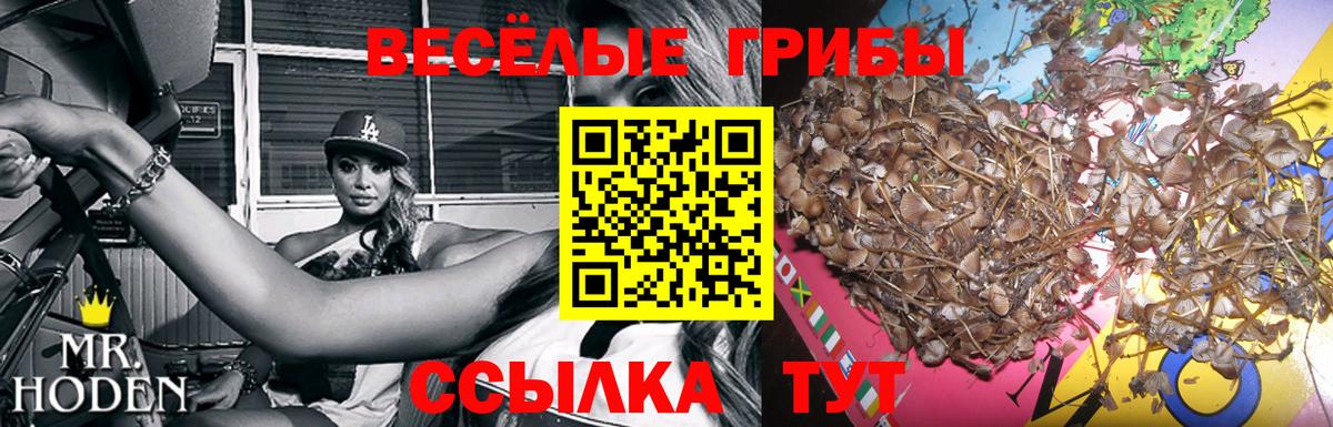 Псилоцибиновые грибы Magic Shrooms Зеленодольск