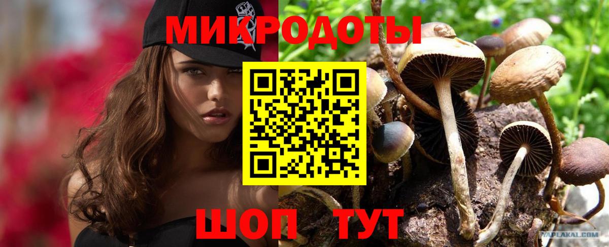 Зеленодольск  Псилоцибиновые грибы ЛСД  Галлюциногенные грибы прущие грибы  Вход с VPN 